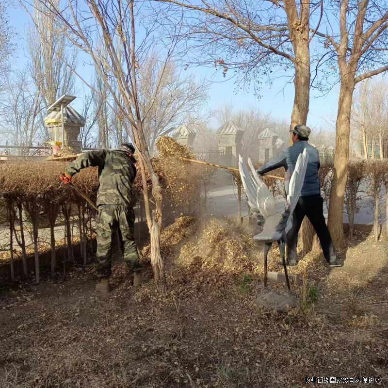【“三抓三促”进行时】敦煌西湖管护中心玉门关保护站开展“爱护工作环境，创建清洁家园”活动
