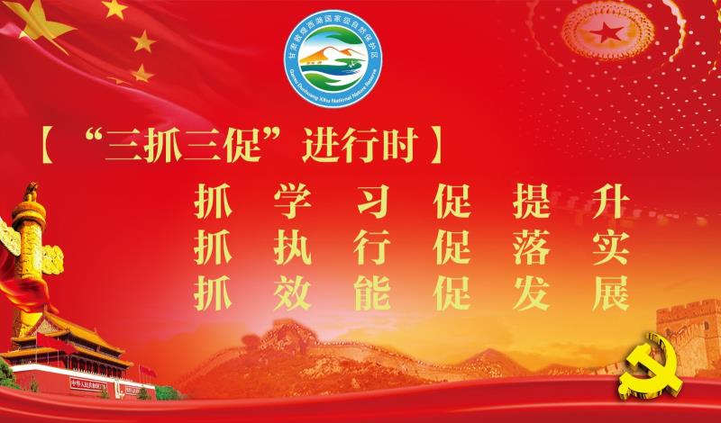 凝神谋发展实干兴陇原“三抓三促”行动进行时