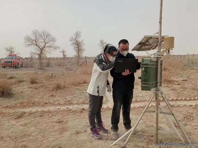 【“三抓三促”进行时】敦煌西湖管护中心组织公益林效益监测点检查维护工作