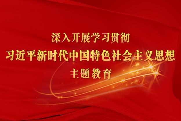 学习贯彻习近平新时代中国特色社会主义思想主题教育工作会议在京召开 习近平发表重要讲话