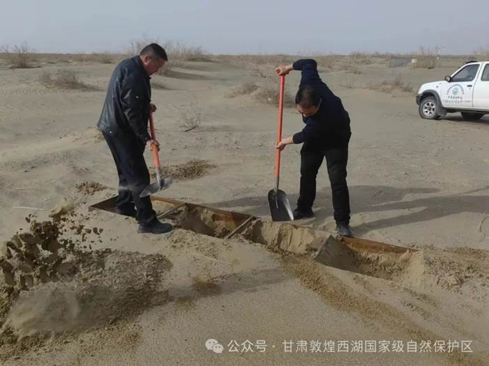 clip_image006.jpg clip_image006.jpg