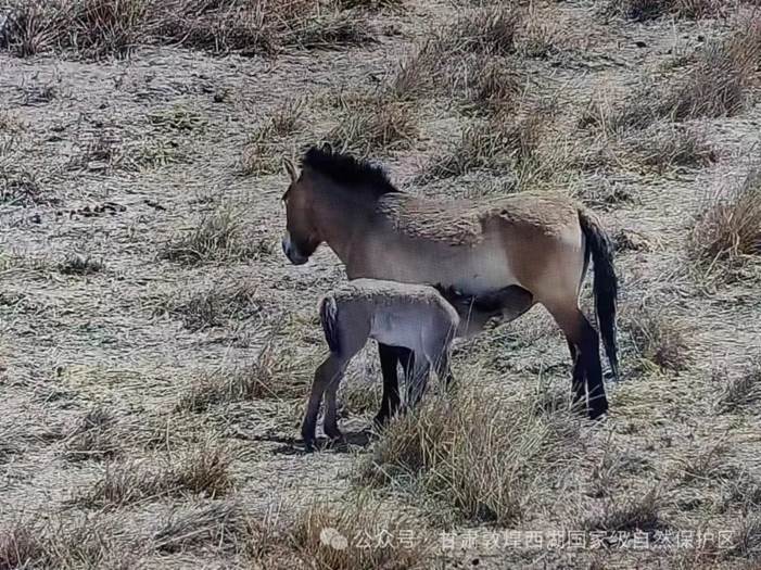 clip_image002.jpg clip_image002.jpg