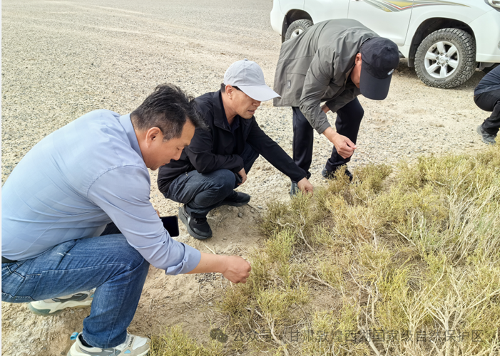 clip_image002.png clip_image002.png