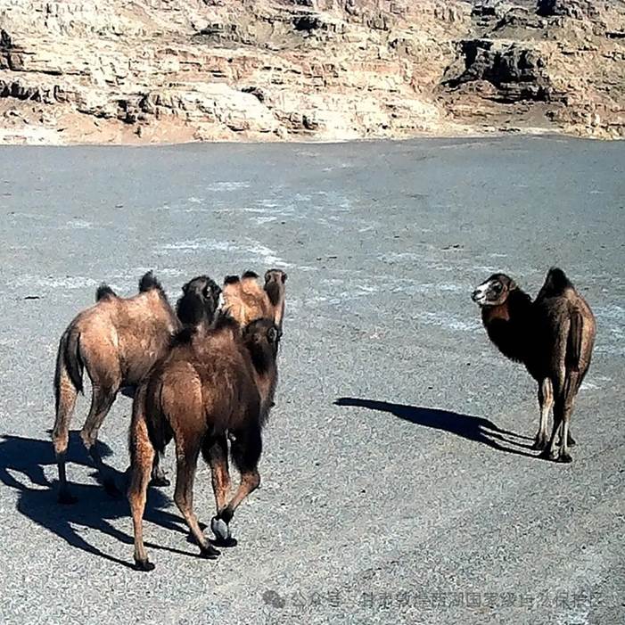 clip_image002.jpg clip_image002.jpg