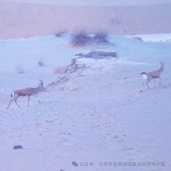 clip_image004.jpg clip_image004.jpg