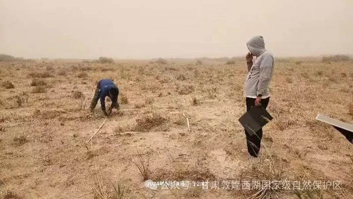 clip_image004.jpg clip_image004.jpg