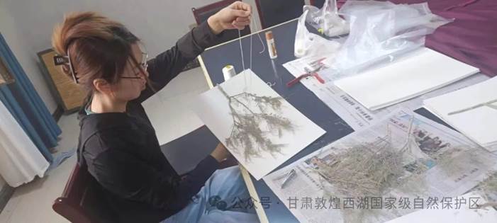 clip_image006.jpg clip_image006.jpg