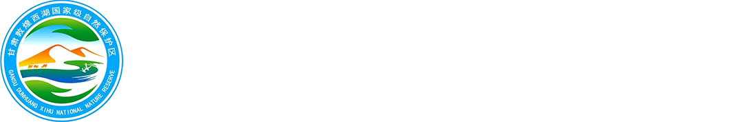 甘肃敦煌西湖国家级自然保护区
